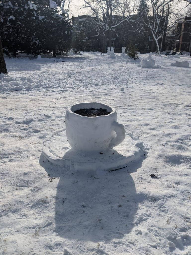 Une tasse de café de neige du Parc Molson du secteur de Rosemont-La Petite-Patrie