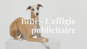 BiBi - Chien immobilier