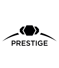 Elisabeth Augeard - Distinction Prestige - Courtier Immobilier Remax