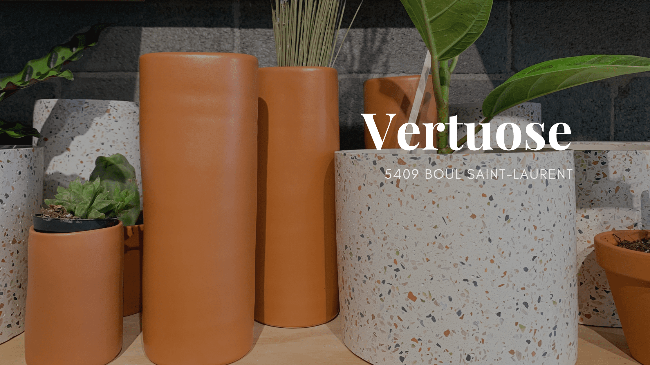 Vertuose, découverte de quartier, Mile-End