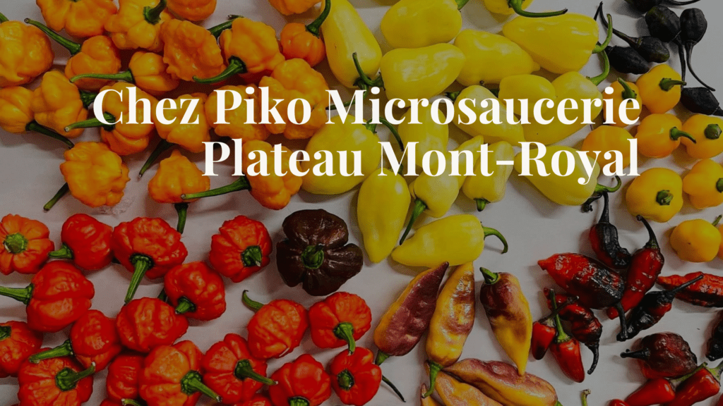 Chez PIKO Montréal - Plateau Mont-Royal