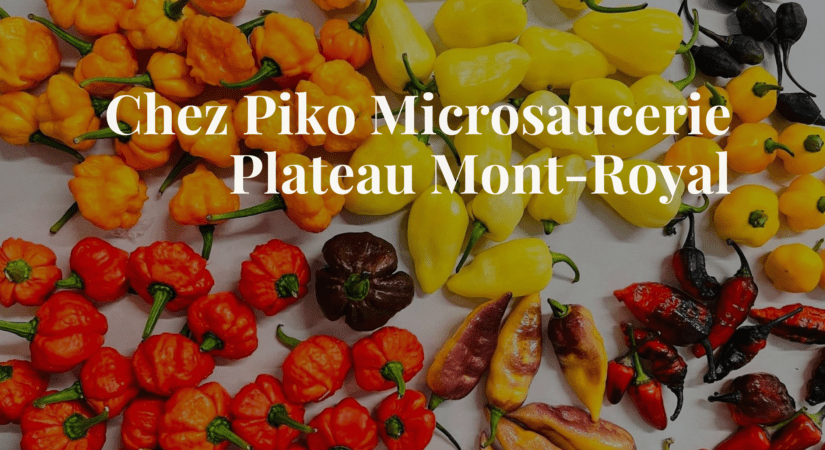 Chez PIKO Montréal - Plateau Mont-Royal