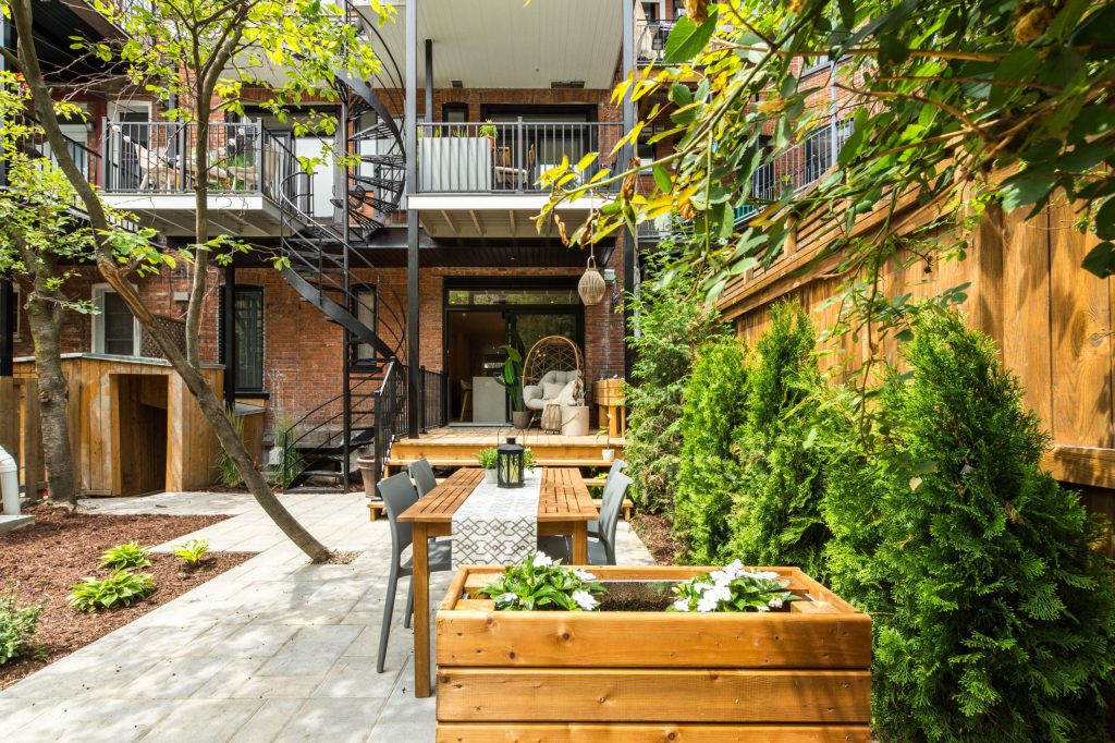 Dorem immobilier cour 1