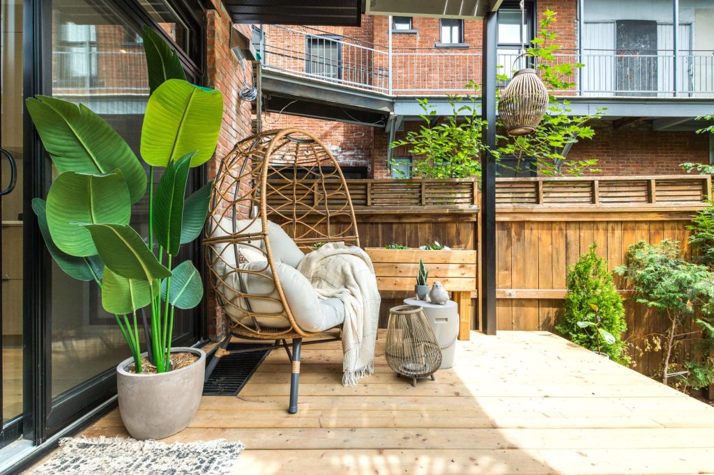 Dorem immobilier cour 3