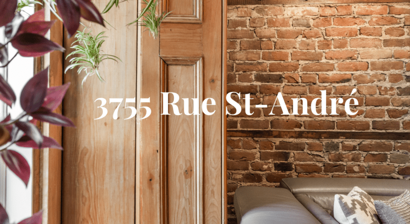 3755 Rue St-André - Le Plateau Mont Royal