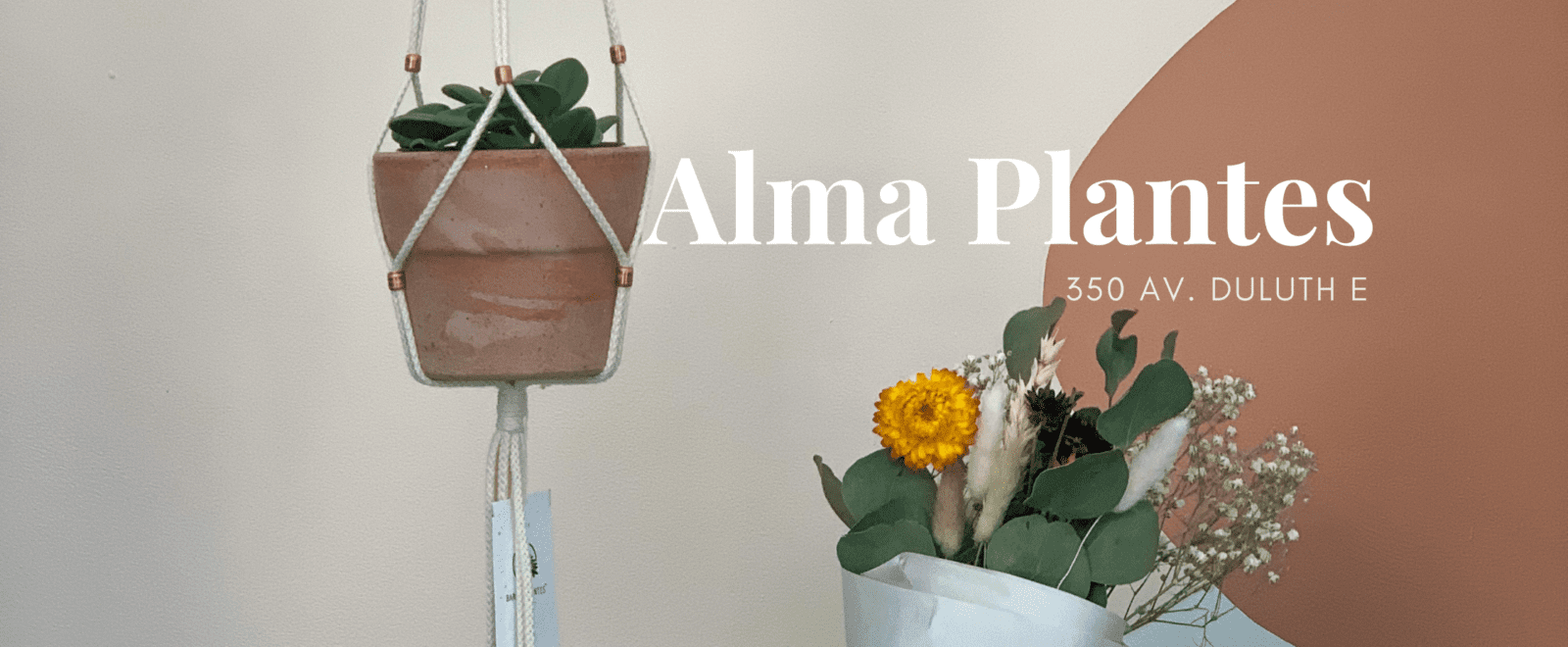 Alma Plantes - Le Plateau Mont-Royal - Courtiers immobiliers Montreal