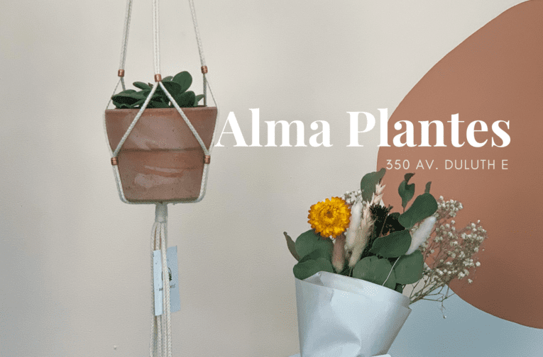 Alma Plantes - Le Plateau Mont-Royal - Courtiers immobiliers Montreal