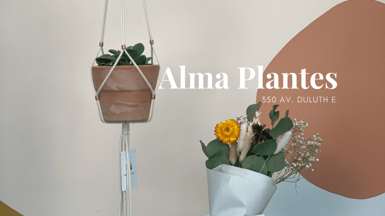 Alma Plantes - Le Plateau Mont-Royal - Courtiers immobiliers Montreal