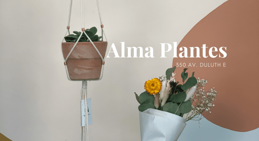 Alma Plantes - Le Plateau Mont-Royal - Courtiers immobiliers Montreal