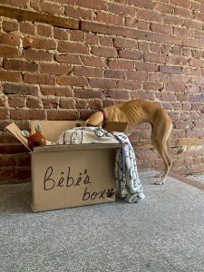 Bibi et sa boîte de déménagement