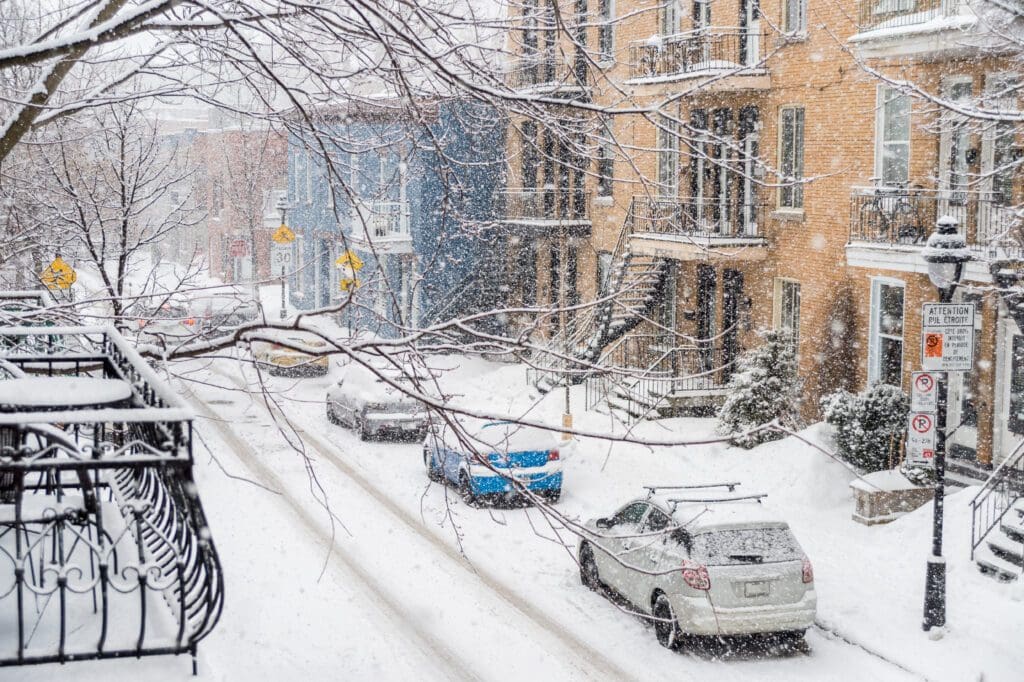 Le Plateau-Mont-Royal Équipe YE/SARRAZIN