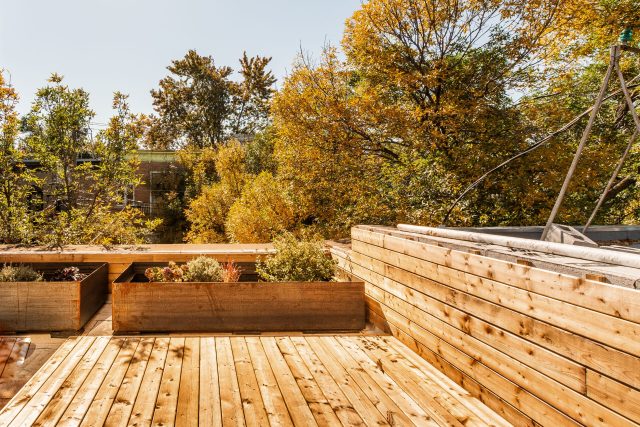 5175 rue Chambord - Le Plateau-Mont-Royal