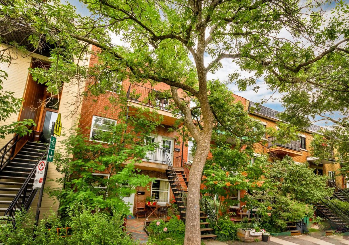 Appartement à vendre, Le Plateau-Mont-Royal
