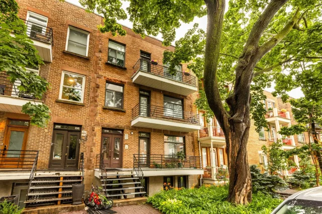 Quadruplex vendu, Outremont
