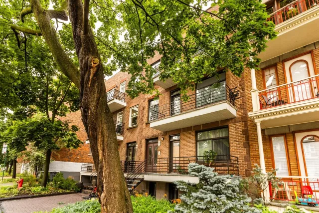 Quadruplex vendu, Outremont