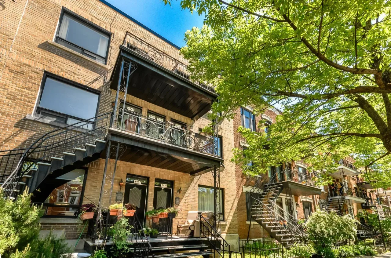 Plex vendu, Le Plateau-Mont-Royal
