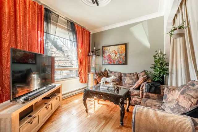 Plex vendu, Le Plateau-Mont-Royal