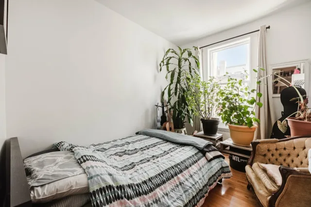 Triplex vendu, Le Plateau-Mont-Royal