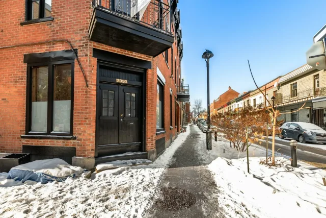 Plex vendu, Le Plateau-Mont-Royal