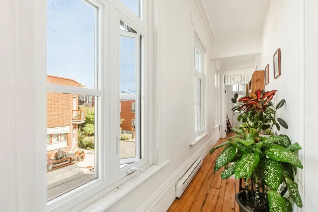Plex vendu, Le Plateau-Mont-Royal