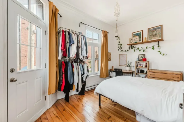 Plex vendu, Le Plateau-Mont-Royal