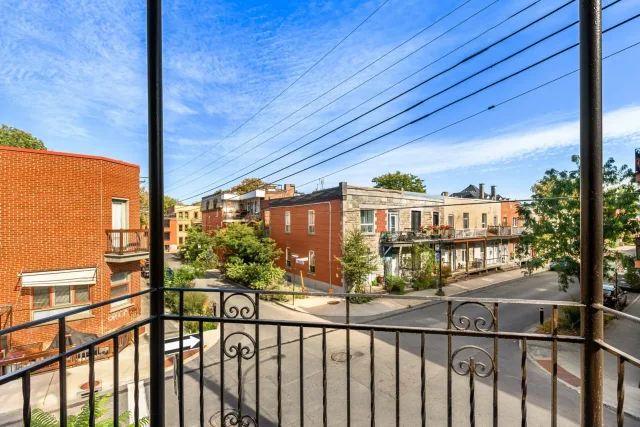 Plex vendu, Le Plateau-Mont-Royal
