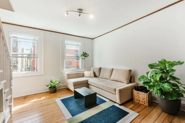 Plex vendu, Le Plateau-Mont-Royal