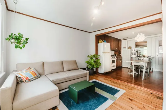 Plex vendu, Le Plateau-Mont-Royal