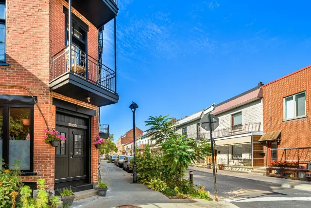 Plex vendu, Le Plateau-Mont-Royal
