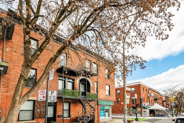 Plex vendu, Le Plateau-Mont-Royal