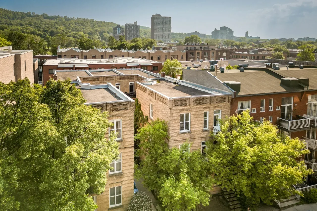 Plex vendu, Le Plateau-Mont-Royal