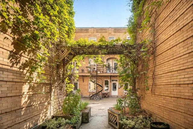 Plex vendu, Le Plateau-Mont-Royal