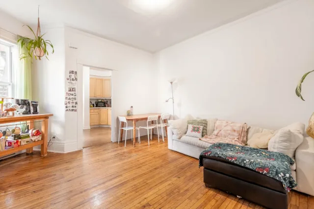 Plex vendu, Le Plateau-Mont-Royal