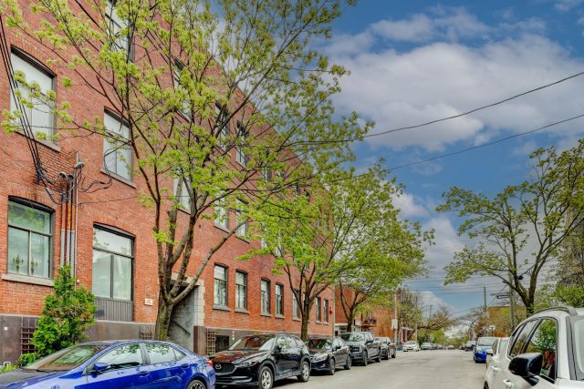 Appartement à vendre, Le Plateau-Mont-Royal