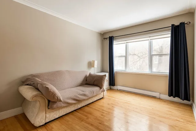 Plex vendu, Le Plateau-Mont-Royal
