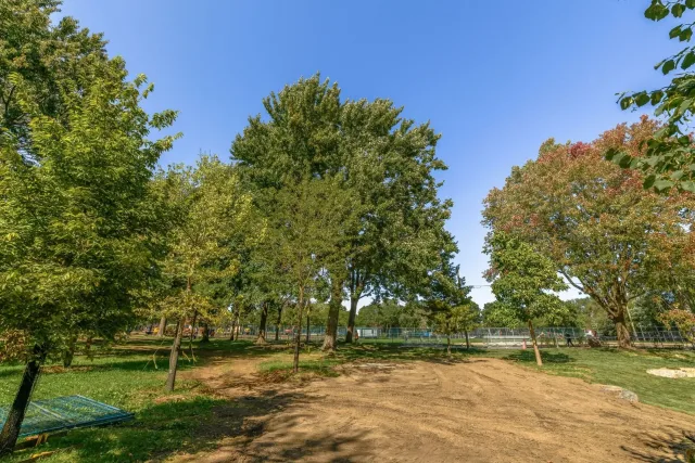 Location d'espace commercial/bureau, Mercier/Hochelaga-Maisonneuve
