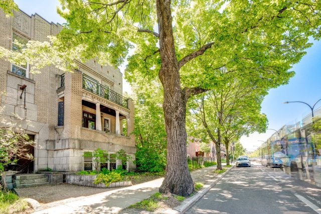 Appartement à vendre, Le Plateau-Mont-Royal