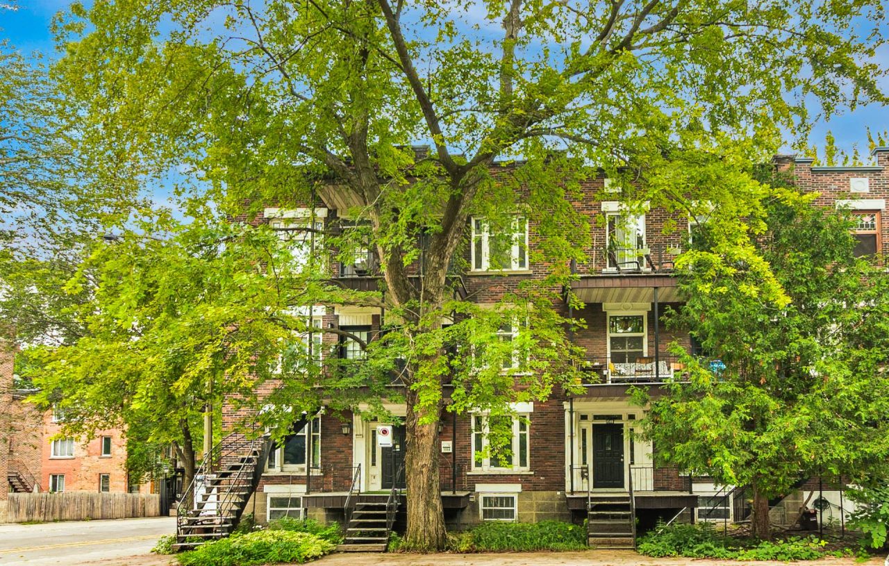 Plex for sale, Le Plateau-Mont-Royal