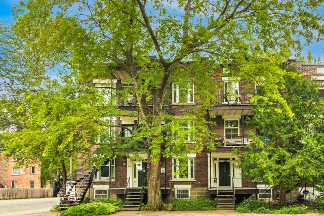 Plex à vendre, Le Plateau-Mont-Royal